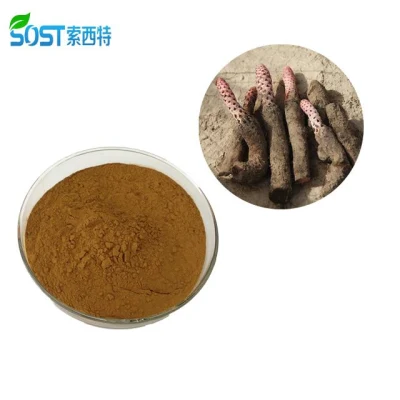 Натуральный сексуальный травяной экстракт Cynomorium Coccineum/Suoyang/Cynomorium Songaricum для человека
